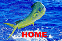 FISHING MAHI TACKLE SHOP FISHING MAHI TACKLE SHOP